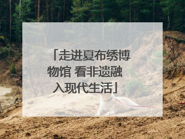 走进夏布绣博物馆 看非遗融入现代生活