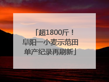 超1800斤！阜阳一小麦示范田单产纪录再刷新