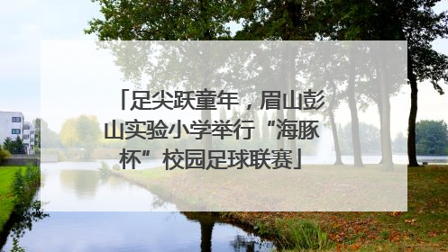 足尖跃童年，眉山彭山实验小学举行“海豚杯”校园足球联赛