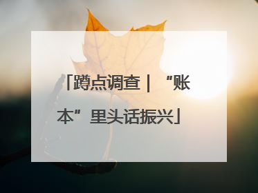 蹲点调查｜“账本”里头话振兴