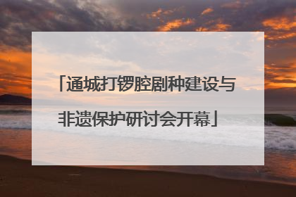 通城打锣腔剧种建设与非遗保护研讨会开幕