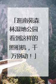 逛南苑森林湿地公园看到这样的照相机，千万别动！