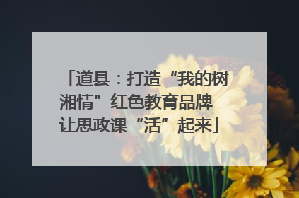 道县：打造“我的树湘情”红色教育品牌 让思政课“活”起来