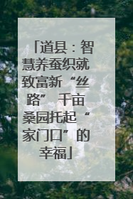 道县：智慧养蚕织就致富新“丝路” 千亩桑园托起“家门口”的幸福
