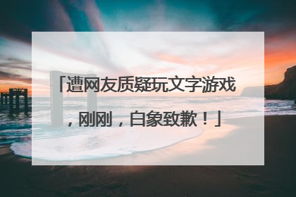 遭网友质疑玩文字游戏，刚刚，白象致歉！