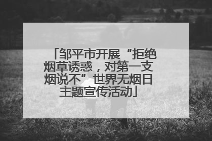 邹平市开展“拒绝烟草诱惑，对第一支烟说不”世界无烟日主题宣传活动