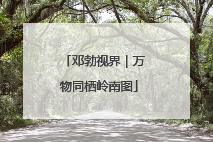 邓勃视界｜万物同栖岭南图