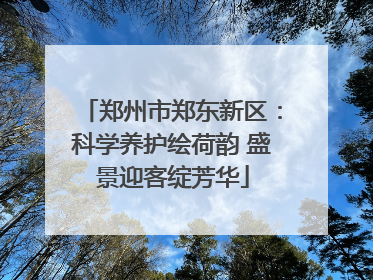 郑州市郑东新区：科学养护绘荷韵 盛景迎客绽芳华