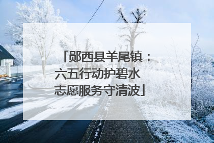 郧西县羊尾镇：六五行动护碧水 志愿服务守清波