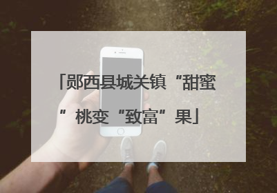 郧西县城关镇“甜蜜”桃变“致富”果