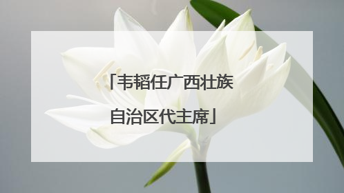 韦韬任广西壮族自治区代主席