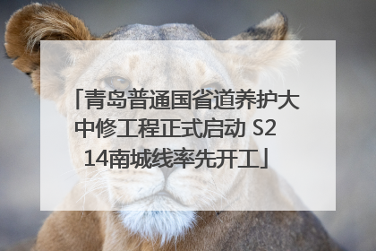 青岛普通国省道养护大中修工程正式启动 S214南城线率先开工