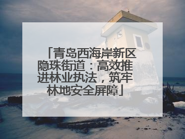 青岛西海岸新区隐珠街道：高效推进林业执法，筑牢林地安全屏障