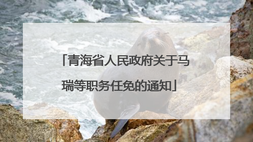 青海省人民政府关于马瑞等职务任免的通知