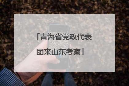 青海省党政代表团来山东考察