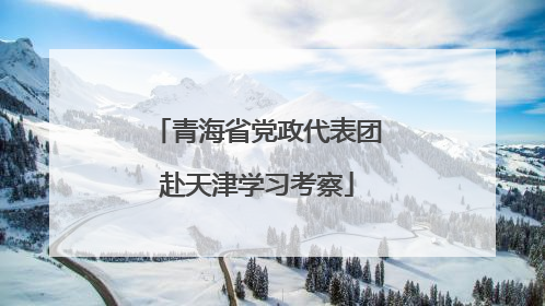 青海省党政代表团赴天津学习考察