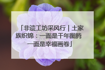 非遗工坊采风行｜土家族织锦：一面是千年图腾 一面是幸福画卷