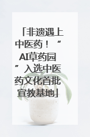 非遗遇上中医药！“AI草药园”入选中医药文化首批宣教基地