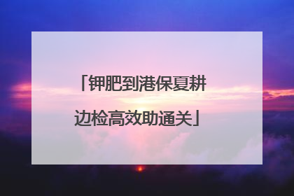 钾肥到港保夏耕 边检高效助通关