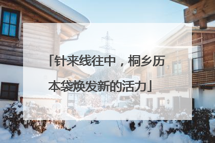 针来线往中，桐乡历本袋焕发新的活力