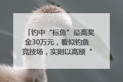 钓中“标鱼”最高奖金30万元，看似钓鱼竞技场，实则以高额“回报”作“饵”……｜今晚九点半