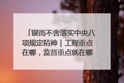 锲而不舍落实中央八项规定精神｜工程重点在哪，监督重点就在哪——广西深化政治监督护航平陆运河建设