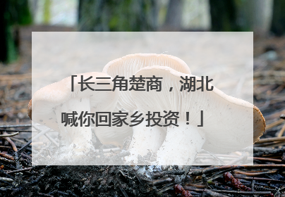 长三角楚商，湖北喊你回家乡投资！