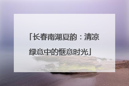 长春南湖夏韵：清凉绿意中的惬意时光