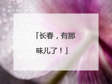长春，有那味儿了！