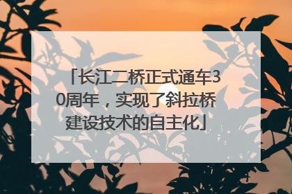长江二桥正式通车30周年，实现了斜拉桥建设技术的自主化