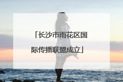 长沙市雨花区国际传播联盟成立