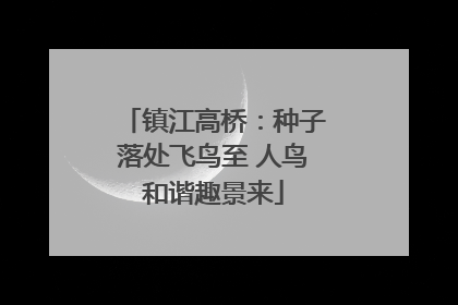 镇江高桥：种子落处飞鸟至 人鸟和谐趣景来
