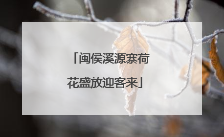 闽侯溪源寨荷花盛放迎客来