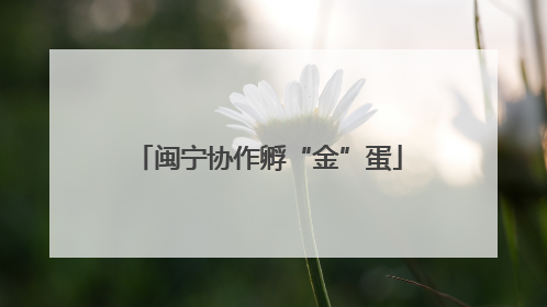 闽宁协作孵“金”蛋