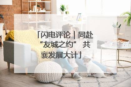 闪电评论｜同赴“友城之约” 共襄发展大计