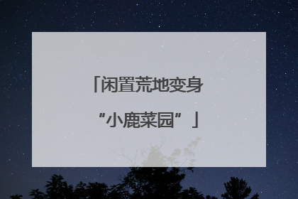 闲置荒地变身“小鹿菜园”