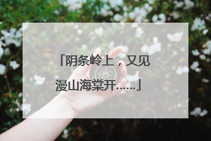 阴条岭上，又见漫山海棠开……