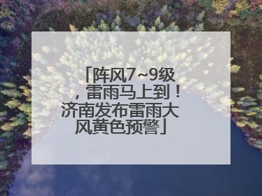 阵风7~9级，雷雨马上到！济南发布雷雨大风黄色预警
