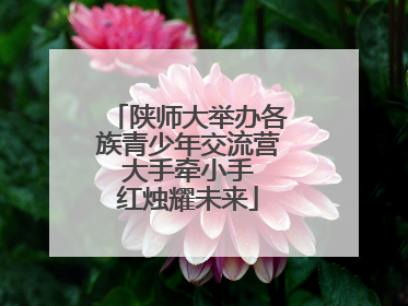 陕师大举办各族青少年交流营 大手牵小手 红烛耀未来