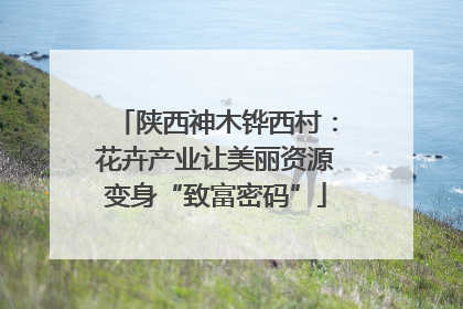 陕西神木铧西村：花卉产业让美丽资源变身“致富密码”