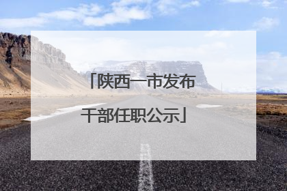 陕西一市发布干部任职公示