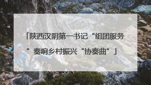 陕西汉阴第一书记“组团服务”奏响乡村振兴“协奏曲”