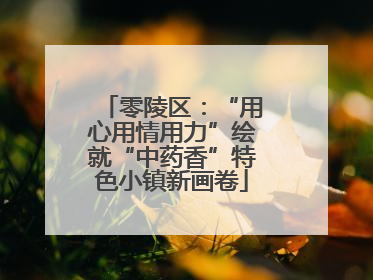 零陵区：“用心用情用力”绘就“中药香”特色小镇新画卷