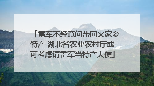 雷军不经意间带回火家乡特产 湖北省农业农村厅或可考虑请雷军当特产大使