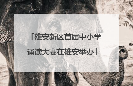 雄安新区首届中小学诵读大赛在雄安举办