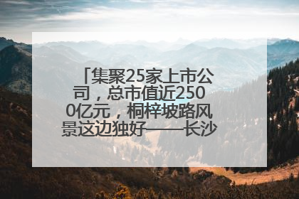 集聚25家上市公司，总市值近2500亿元，桐梓坡路风景这边独好——长沙有条“上市路”