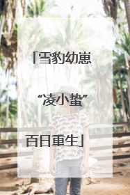 雪豹幼崽“凌小蛰”百日重生