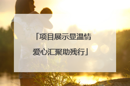 项目展示显温情 爱心汇聚助残行