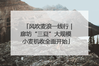 风吹麦浪一线行｜廊坊“三夏”大规模小麦机收全面开始