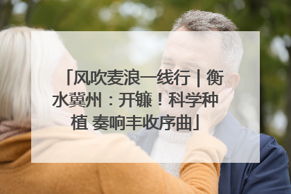 风吹麦浪一线行｜衡水冀州：开镰！科学种植 奏响丰收序曲